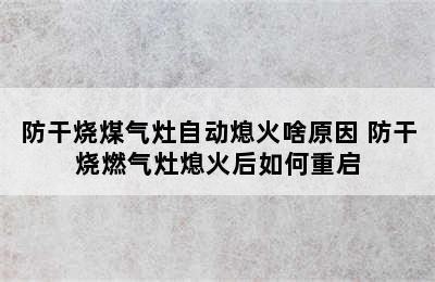 防干烧煤气灶自动熄火啥原因 防干烧燃气灶熄火后如何重启